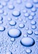 Fresh & Wet