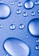 Fresh & Wet