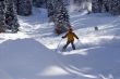 Snow Skier in winter forest
