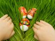 Easter eggs in the grass and hands