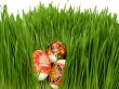 Easter eggs in the grass on a white