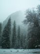 Fog in Yosemite park