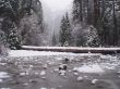 Waterfall in fog and snow. Yosemity park