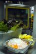 Kitchen, chrome stove; broken ice and lemon