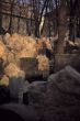 Ancient Jewish Cemetery