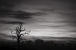 Black And White Sky