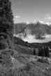 Spruces and road over clouds and fog after storm