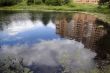 Reflection in lake