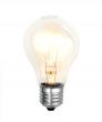 bulb on white background