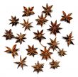 anise star