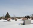 Winter Graveyard