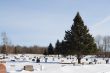 Cemetery