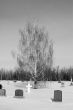 Cemetery