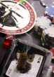 Roulette & Chips