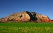 Redrock Farm 6