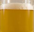Beer head