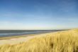 empty beach