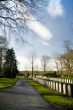 war cemetery