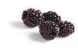 Black raspberries