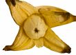 opened banana