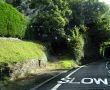 Road scene