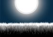 Night grass moon vector