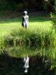 Nature Statue