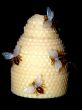 Beekeeping