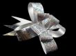 Reflective Bow