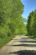 Walk on a wood.