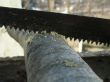 handsaw