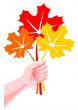 Bouquet from leaves