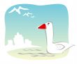 Birds of passage