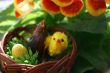 Easter still-life