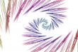 Spiralling spirals