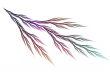 tree branch