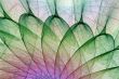 gentle materials abstract graphic