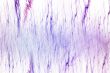 Purple haze