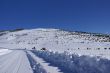 Tracks on snow covered road in mountain