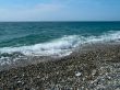 Seabeach