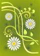 chamomiles background