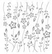 white flower background