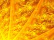 abstract wallpaper
