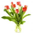 red tulips