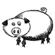 Pig illustration