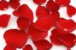 Red petals
