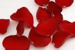 Rose petals
