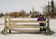 Wooden Bridge