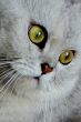 surprise glance