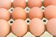 Chicken eggs